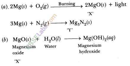 NCERT Exemplar Class 10 Science Chapter 1 Chemical Reactions And Equations 7