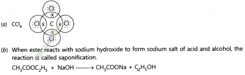 NCERT Exemplar Class 10 Science Chapter 4 Carbon and its Compounds 9