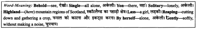 NCERT Solutions for Class 9 English Literature Chapter 8 The Solitary Reaper Paraphrase Q1