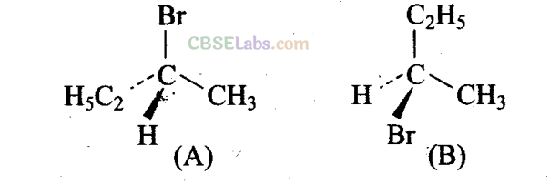 NCERT Exemplar Class 11 Chemistry Chapter 13 Hydrocarbons Img 4